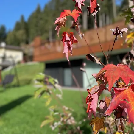 Apartamento Gidi And Lisl Bramberg am Wildkogel