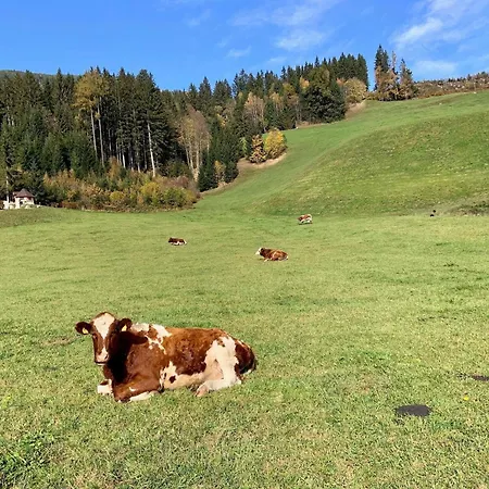 アパート Gidi And Lisl ブラームベルク・アム・ヴィルトコーゲル