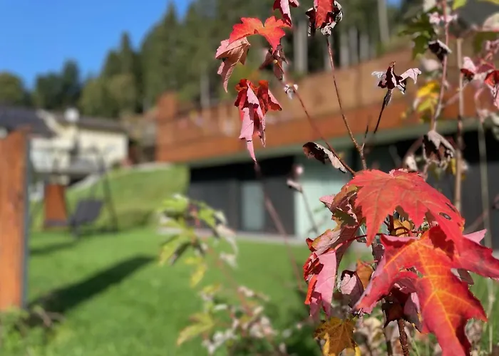 Daire Gidi And Lisl Bramberg am Wildkogel