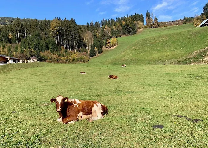 Daire Gidi And Lisl Bramberg am Wildkogel